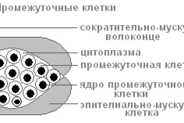 Кракен это что за сайт