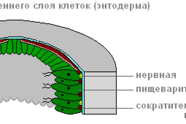 Kraken 15at сайт krakens15 at