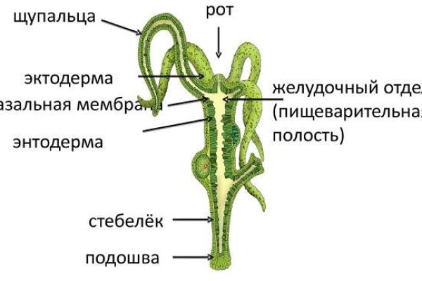 Kraken ссылка tg